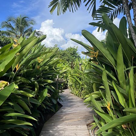 Eden Paradise Ecolodge & Spa Sainte-Luce Luaran gambar