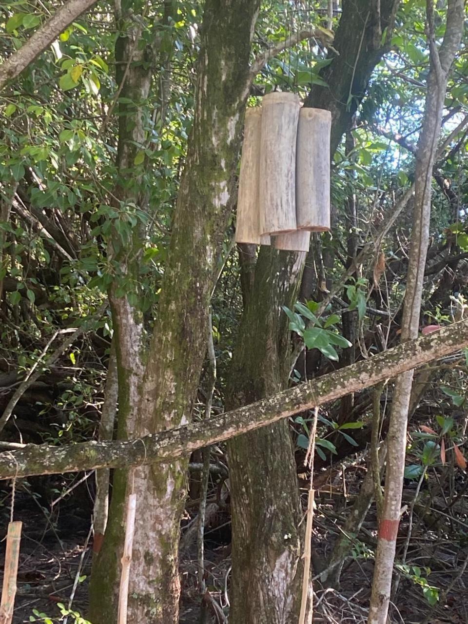 Eden Paradise Ecolodge & Spa Sainte-Luce Luaran gambar