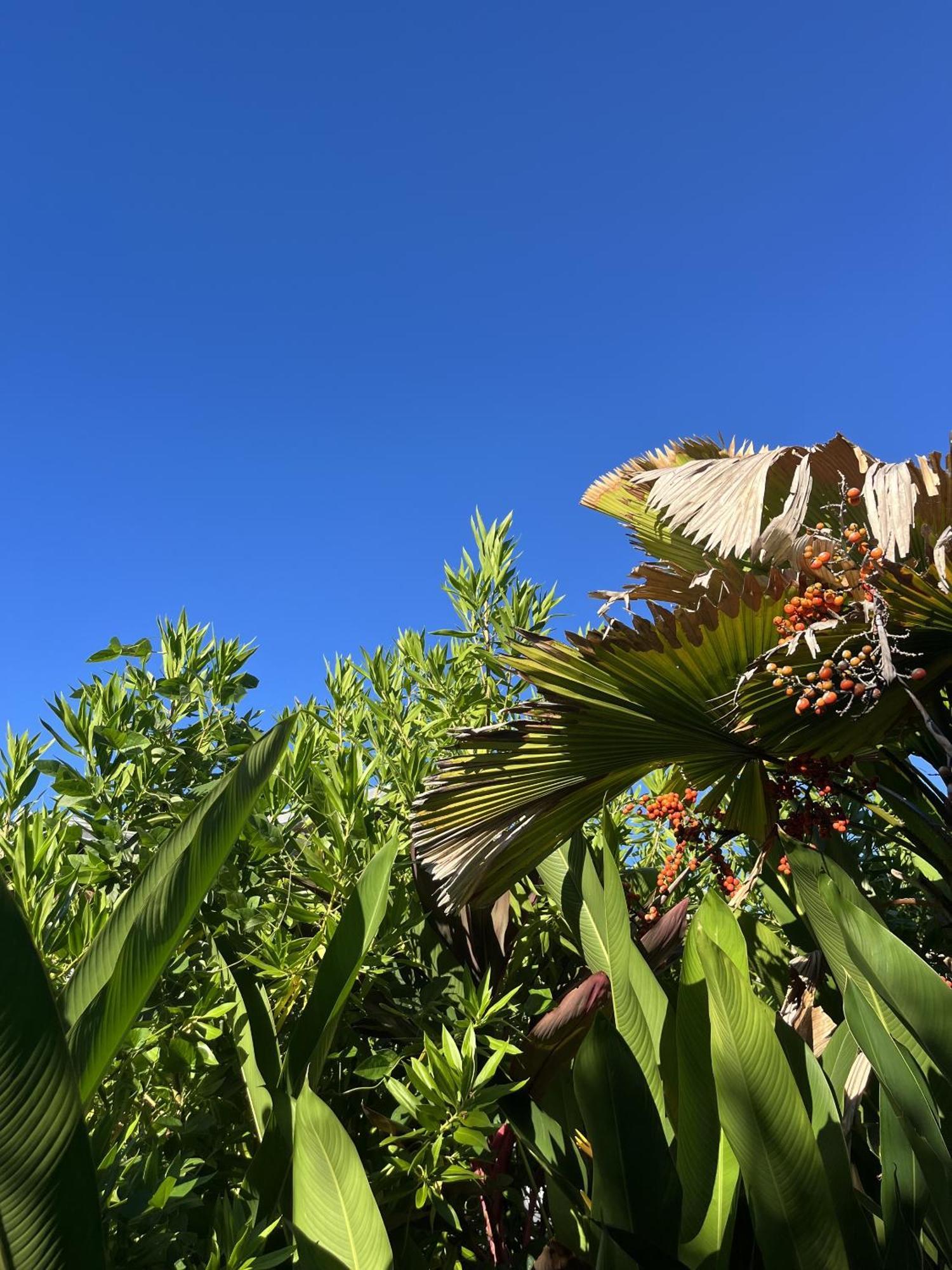 Eden Paradise Ecolodge & Spa Sainte-Luce Luaran gambar