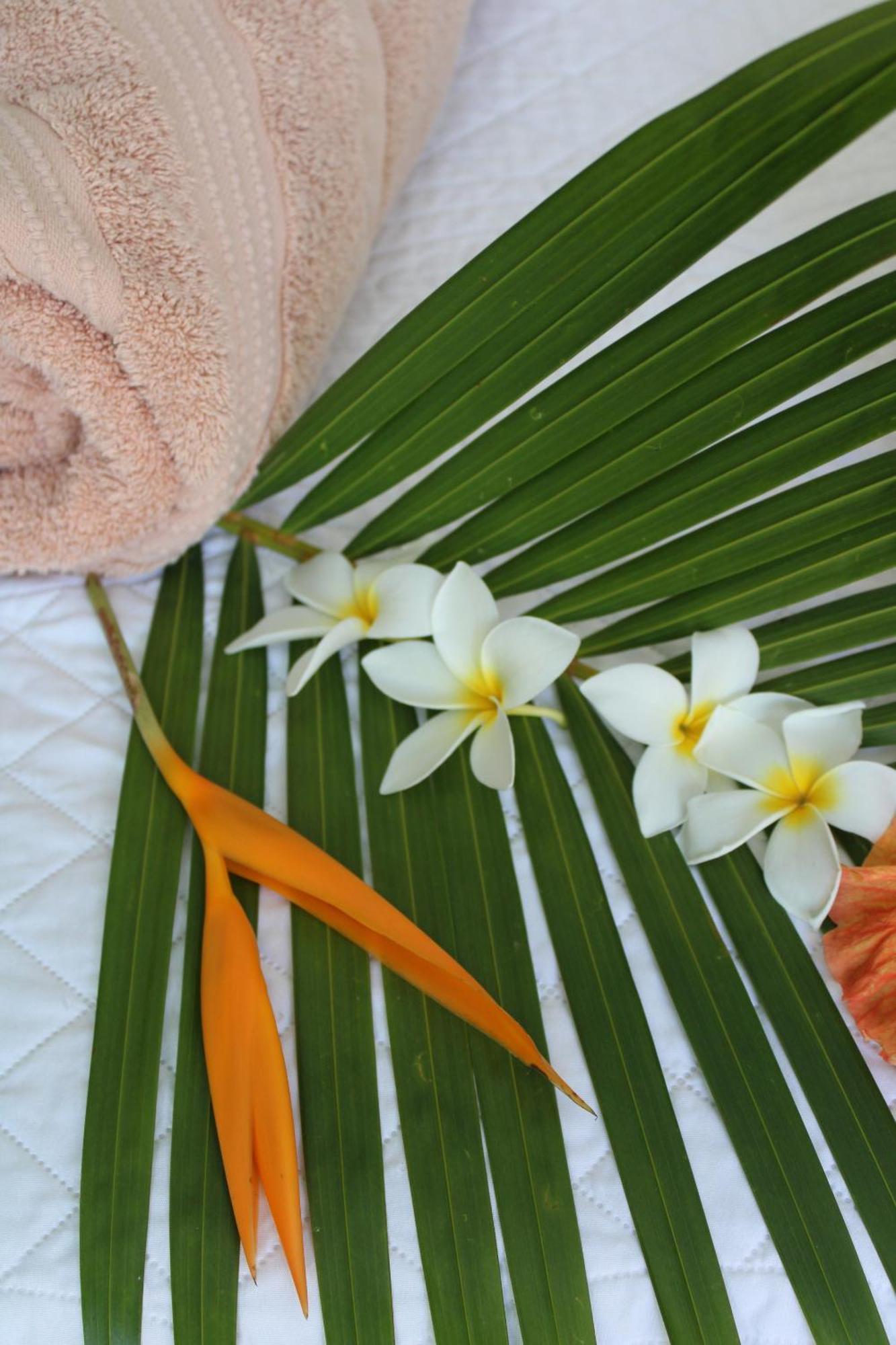Eden Paradise Ecolodge & Spa Sainte-Luce Bilik gambar