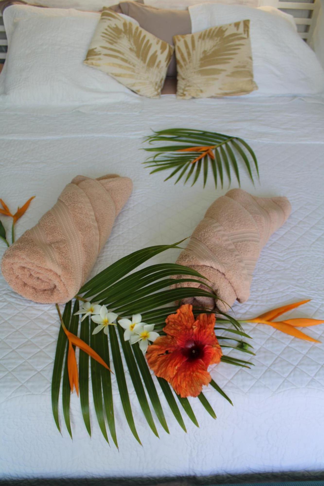 Eden Paradise Ecolodge & Spa Sainte-Luce Bilik gambar