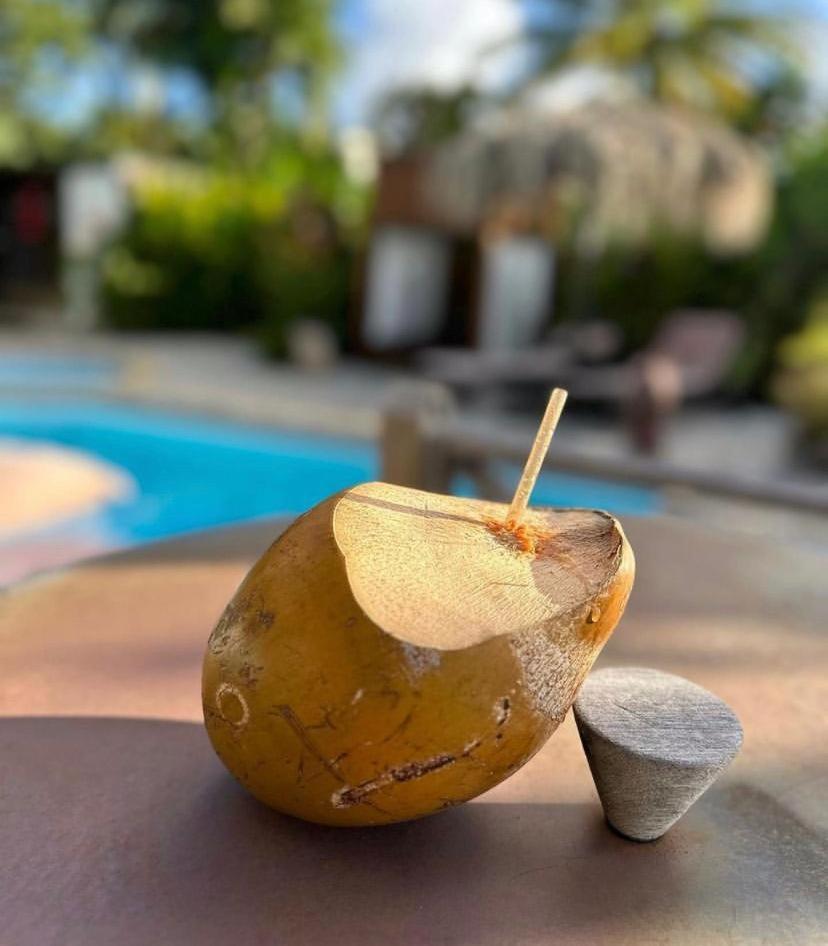 Eden Paradise Ecolodge & Spa Sainte-Luce Luaran gambar