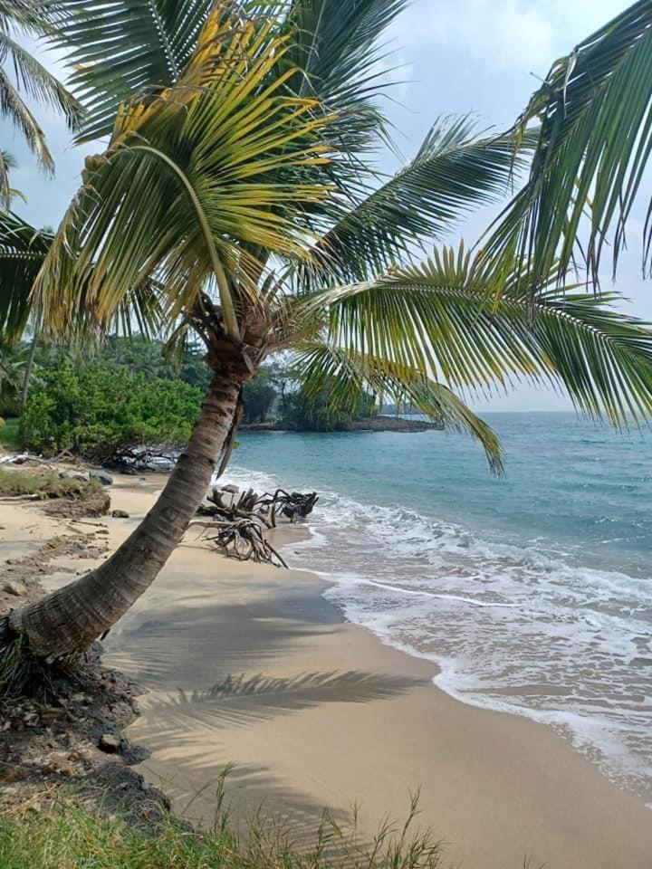 Eden Paradise Ecolodge & Spa Sainte-Luce Luaran gambar